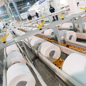 Производство бумаги и картона (с проектной производительностью 20 тонн в сутки)